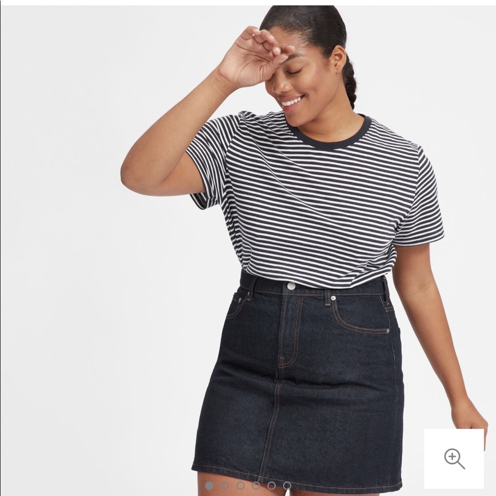 Everlane denim skirt